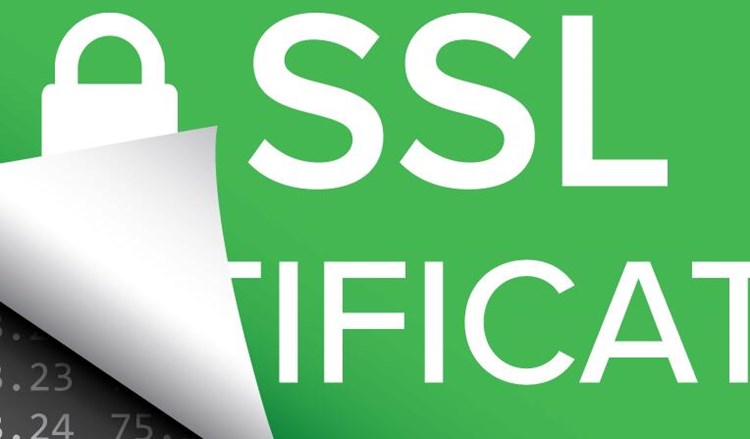 公网ip在哪申请免费ssl？